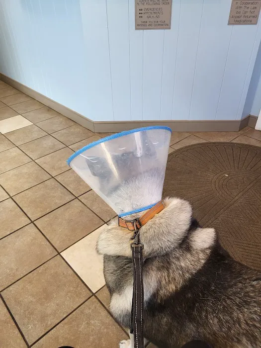 Middletown Animal Clinic Inc 10