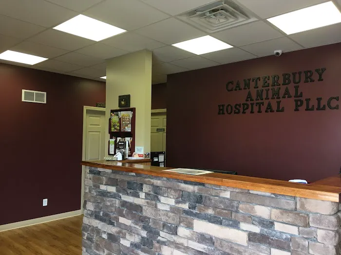 Canterbury Animal Hospital 2
