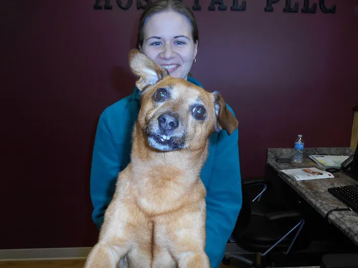 Canterbury Animal Hospital 7