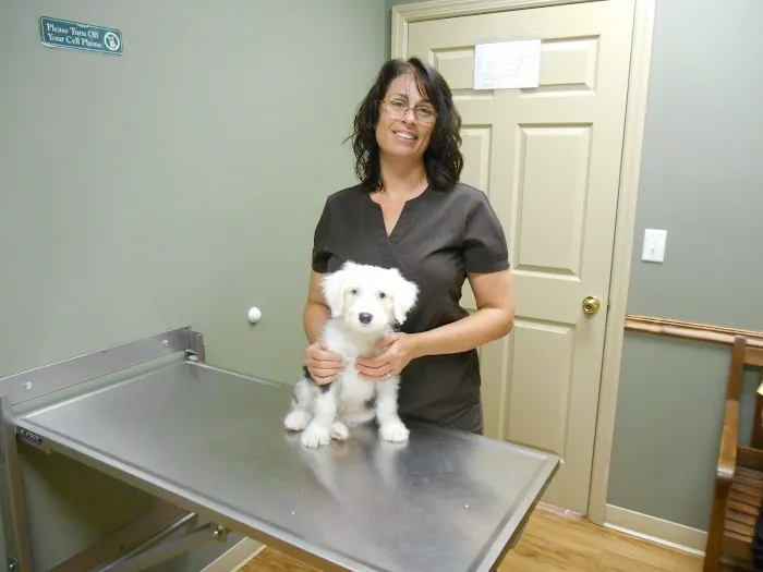 Canterbury Animal Hospital 5