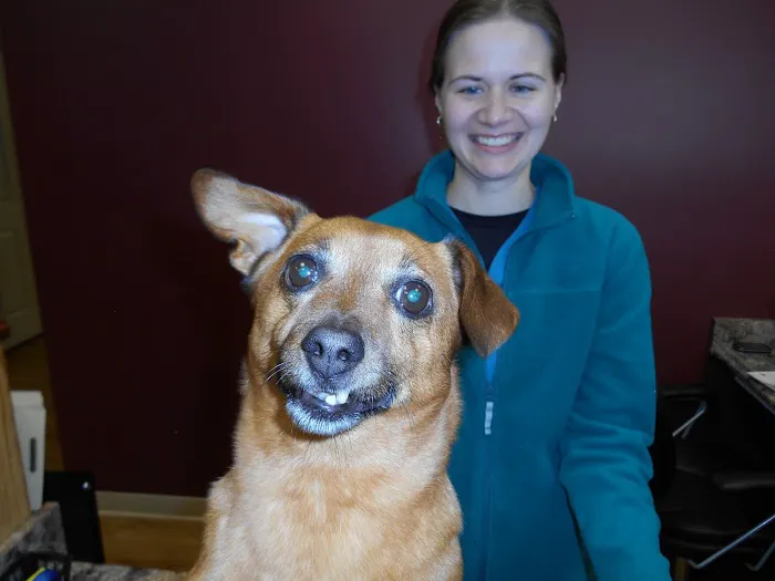Canterbury Animal Hospital 10