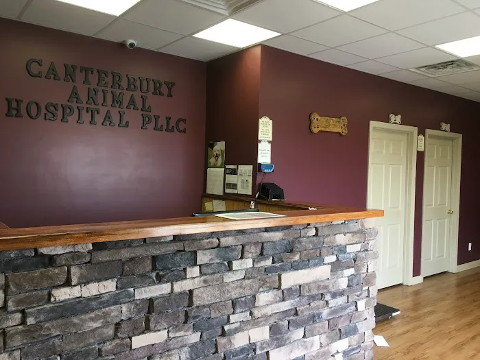 Canterbury Animal Hospital 9