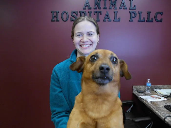 Canterbury Animal Hospital 8