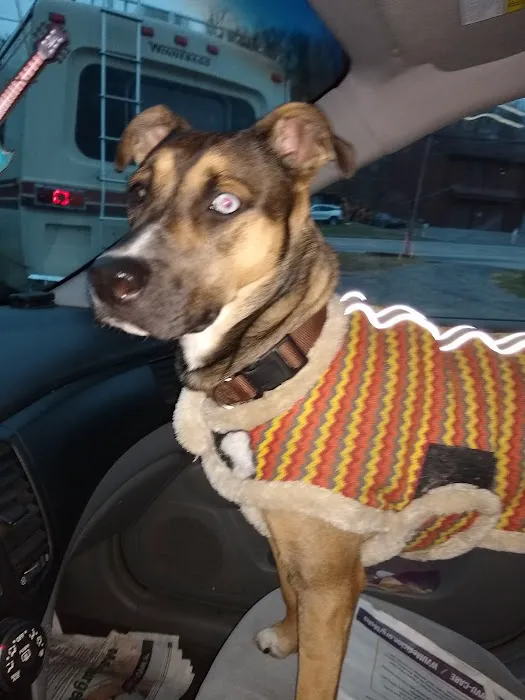 Hickman Run Animal Hospital 6