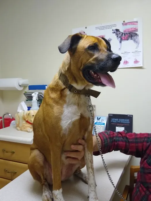 Hickman Run Animal Hospital 2