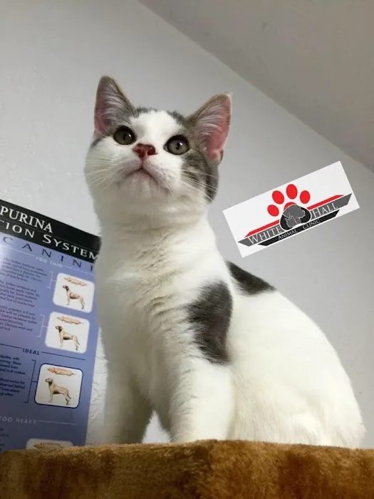 White Hall Animal Clinic 5