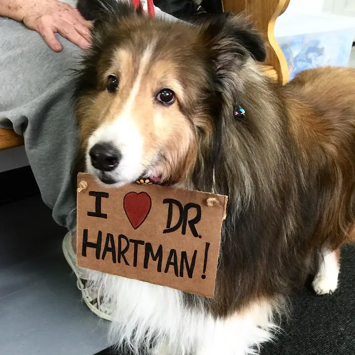 White Hall Animal Clinic 8