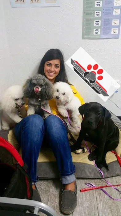 Dr. Amanda Hartman, DVM at White Hall Animal Clinic 9