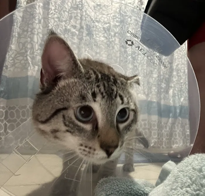 North Central West Virginia Veterinary Emergency Clinic 4