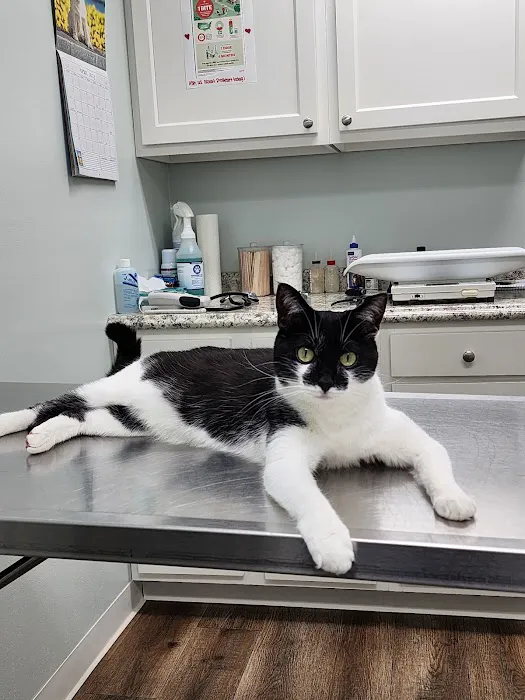 A-1 Vet Care 5