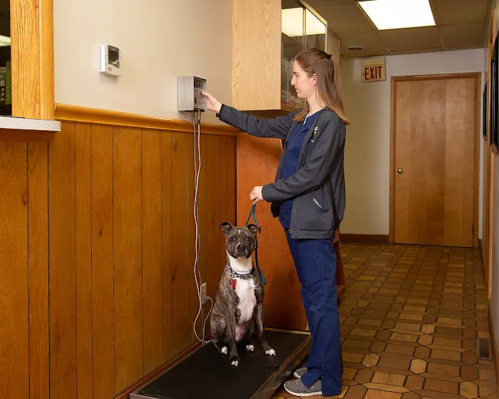 Carrollton Animal Hospital 8