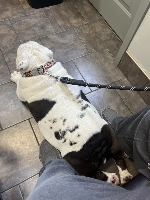 County Line Veterinary Service 7