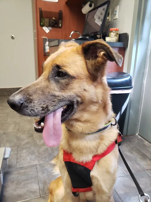 County Line Veterinary Service 9