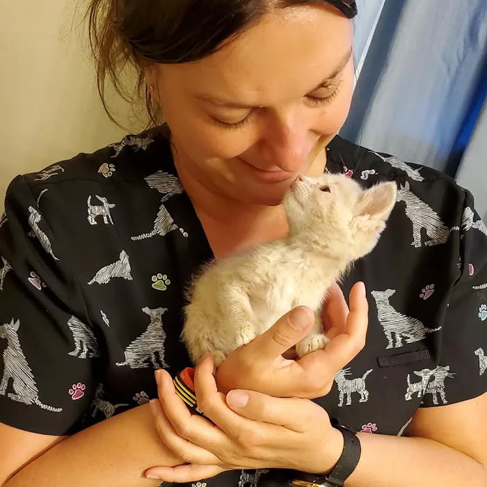 Alliance Animal Hospital LLC 7