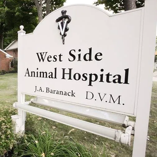 West Side Animal Hospital 10