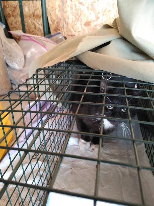 The Great Life Spay Neuter 4