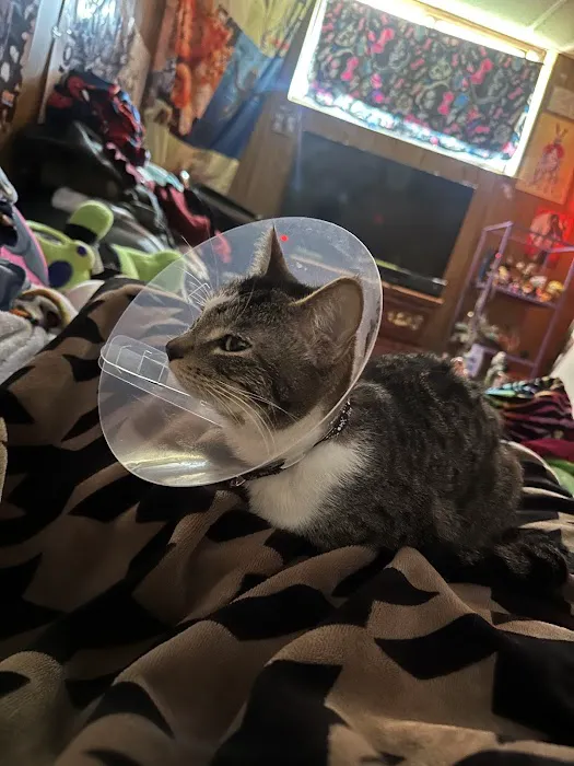 The Great Life Spay Neuter 9