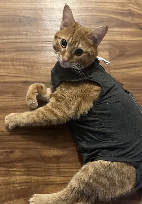 The Great Life Spay Neuter 8