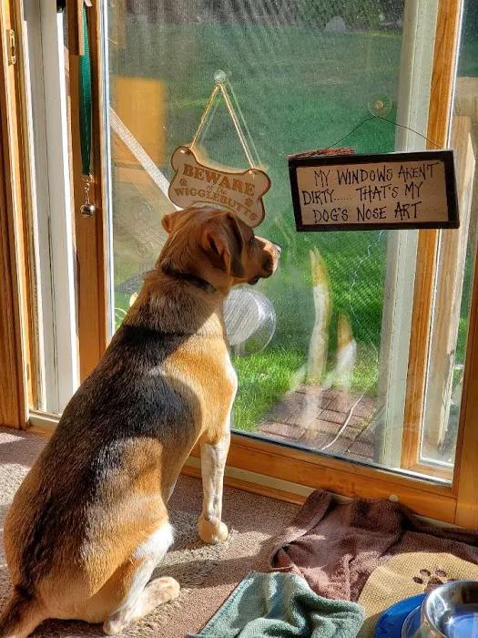Brimfield Veterinary Services 1