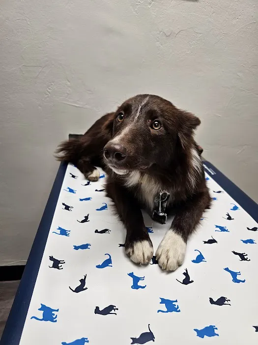 Brimfield Veterinary Services 9