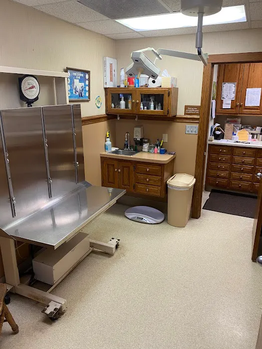 Companion Animal Hospital 3