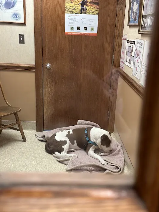 Companion Animal Hospital 8