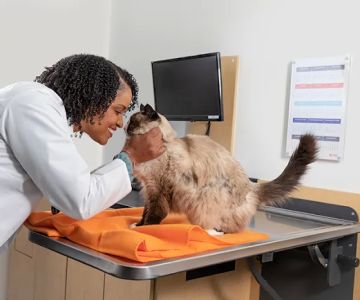 Banfield Pet Hospital