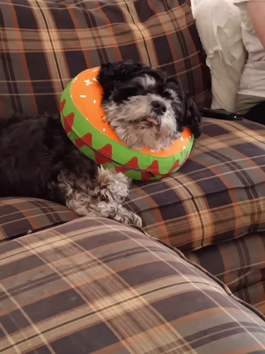 Banfield Pet Hospital 5
