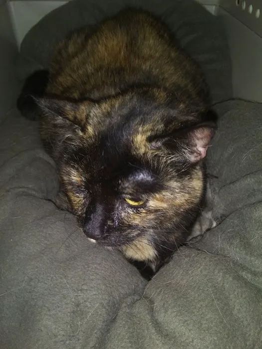 Banfield Pet Hospital 10