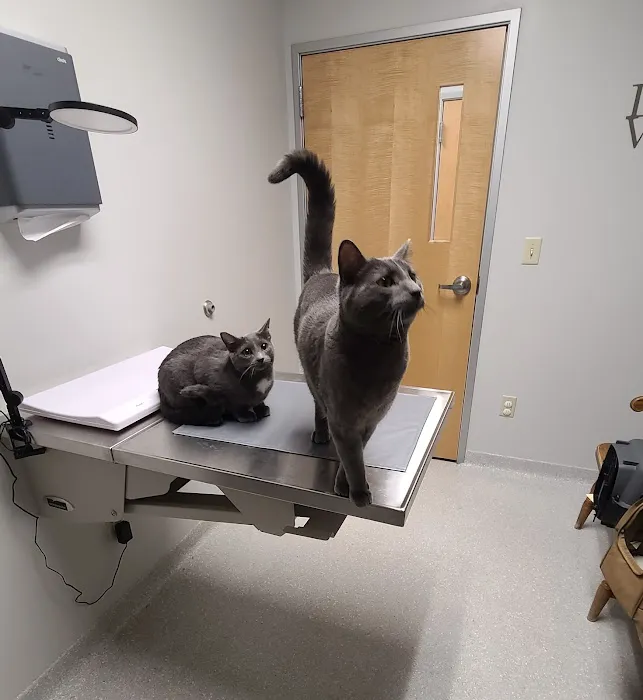 Aurora Veterinary Clinic 4