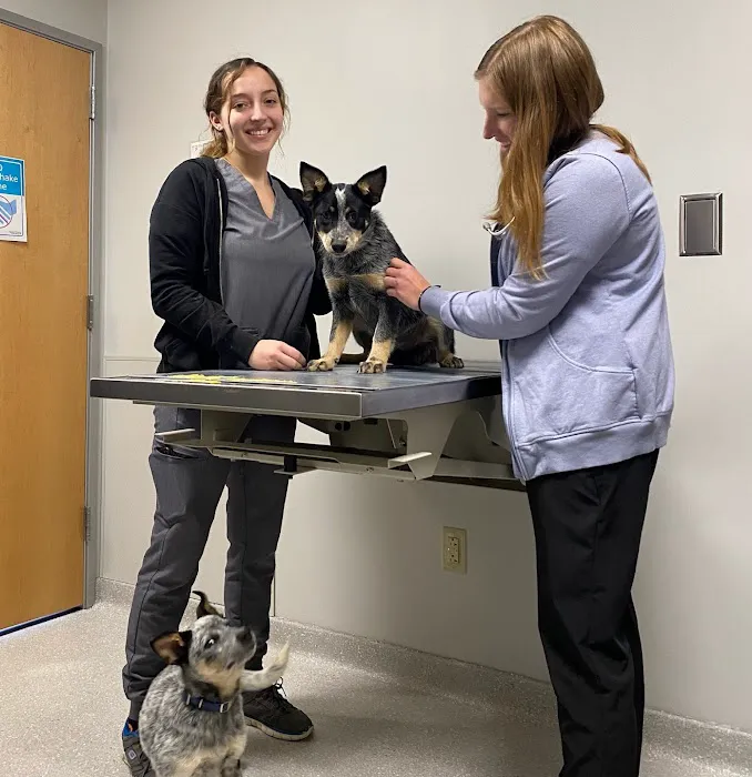 Aurora Veterinary Clinic 3