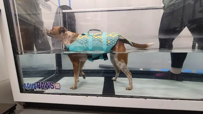 Aurora Veterinary Clinic 7