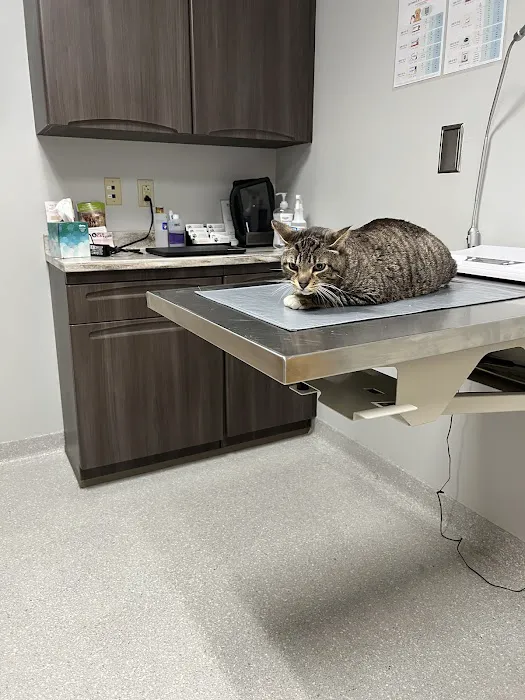 Aurora Veterinary Clinic 10