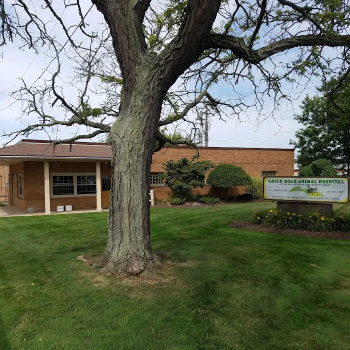 Green Road Animal Hospital 3