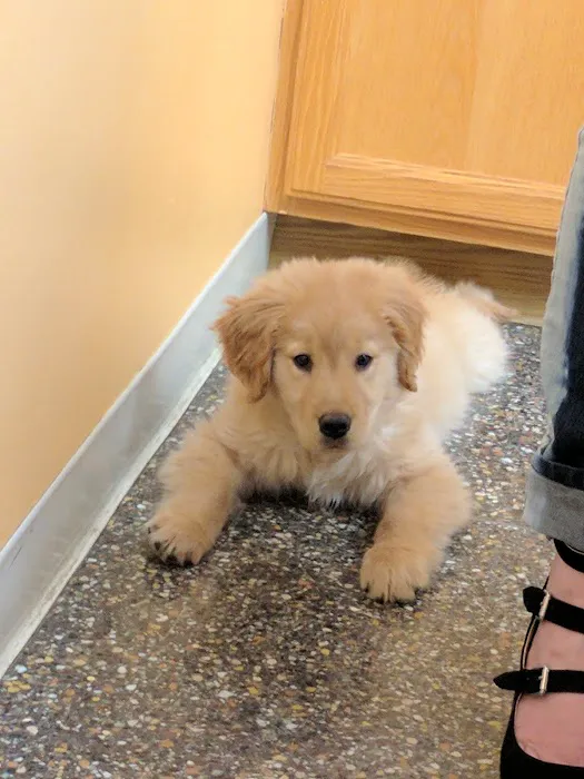 Green Road Animal Hospital 4