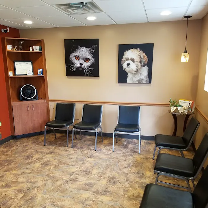 Green Road Animal Hospital 5