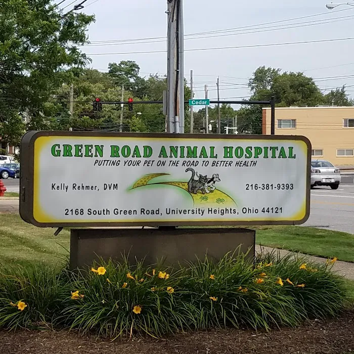 Green Road Animal Hospital 8