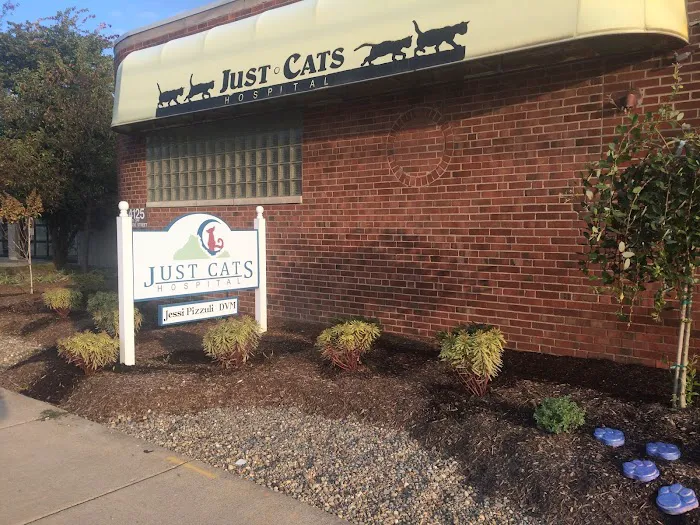 Just Cats Hospital 2