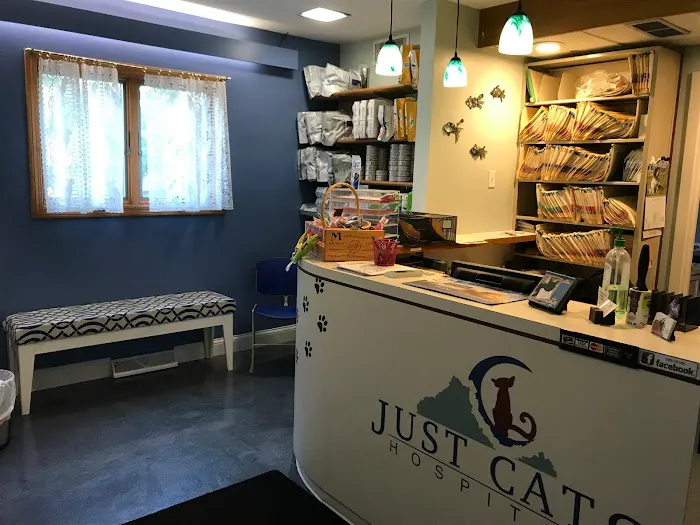Just Cats Hospital 3