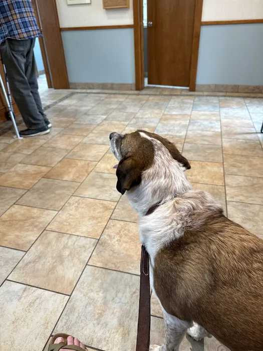 Belvoir Pet Hospital 10