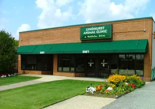 Lyndhurst Animal Clinic, A Thrive Pet Healthcare Partner 3