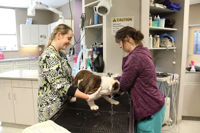 Memorial Animal Hospital 1