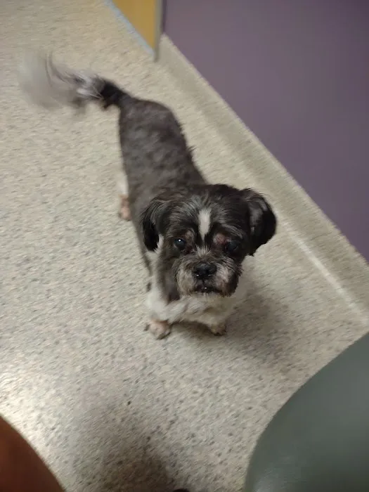 Memorial Animal Hospital 7