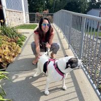Memorial Animal Hospital: Sheil Julie A DVM ico
