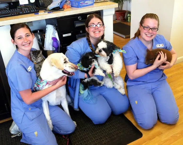 Portage Animal Clinic 9