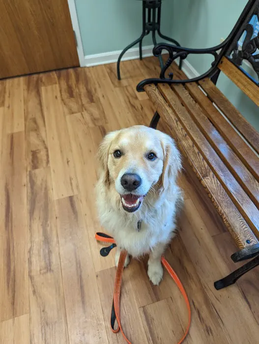 Portage Animal Clinic 10