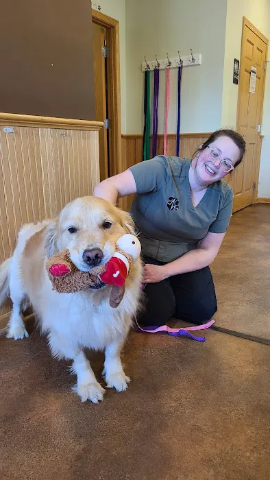 Streetsboro Veterinary Center 3