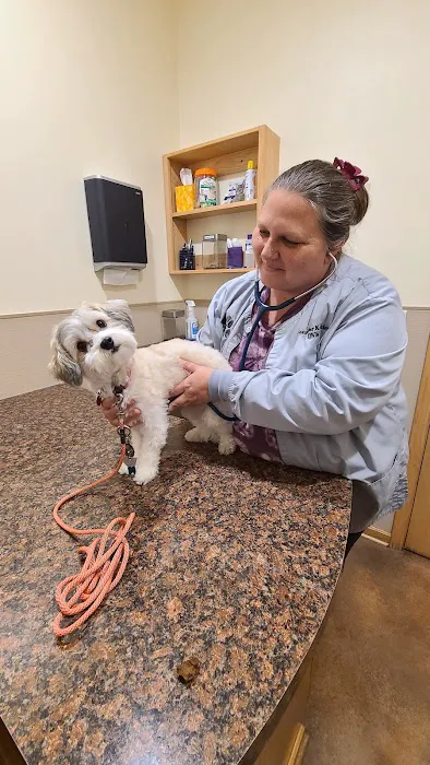 Streetsboro Veterinary Center 5