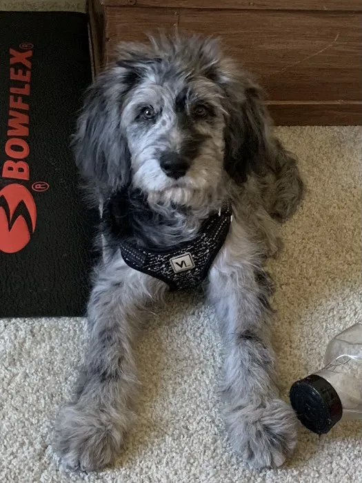 Streetsboro Veterinary Center 6