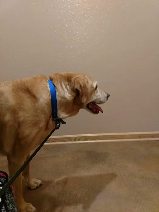 Streetsboro Veterinary Center 4